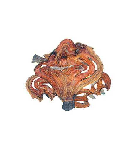 DRY SHOIL 11LB